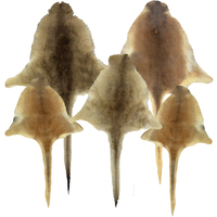 Kangaroo Skins